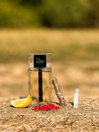Dior Homme Sport